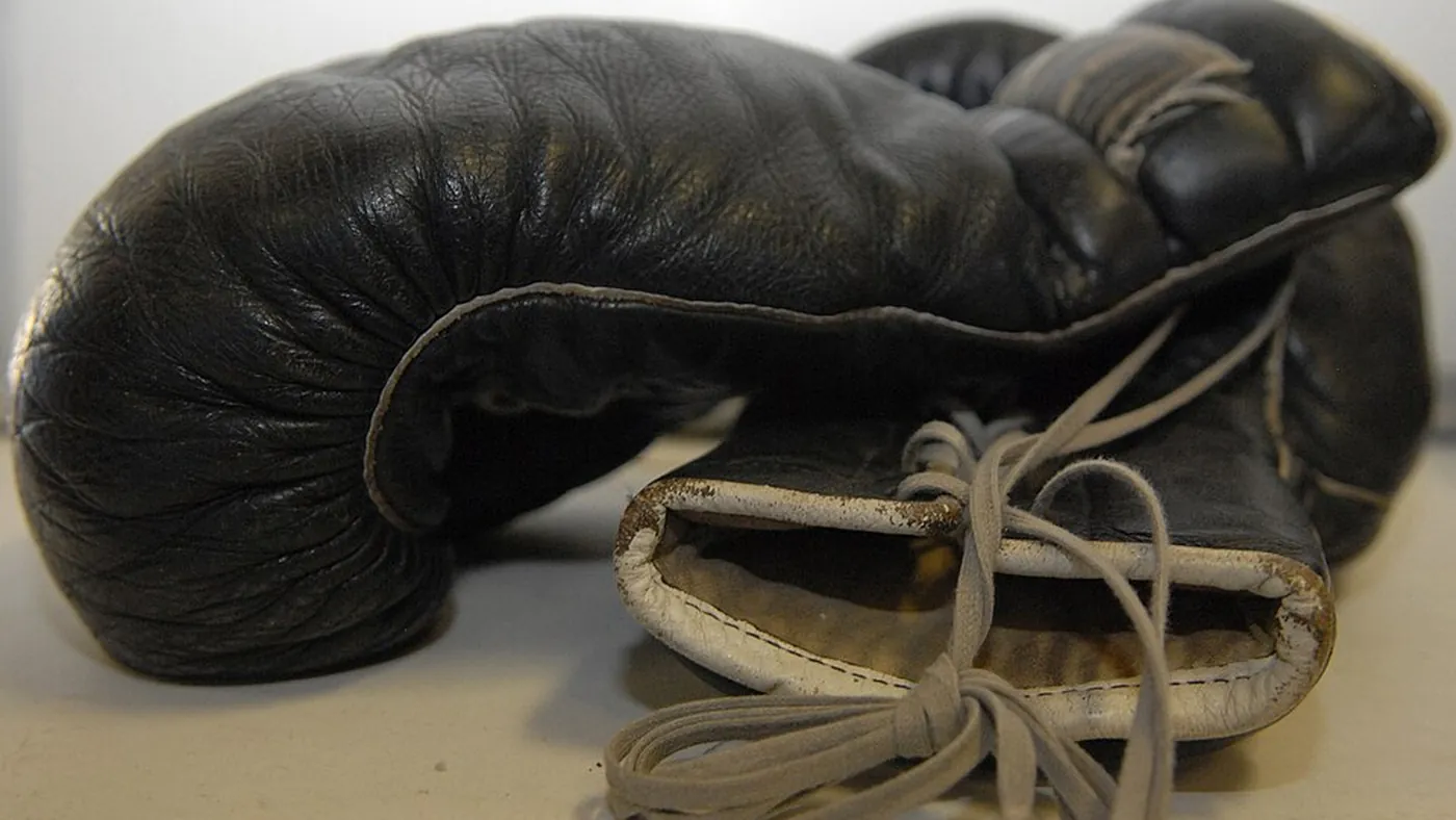 Ein Paar Boxhandschuhe