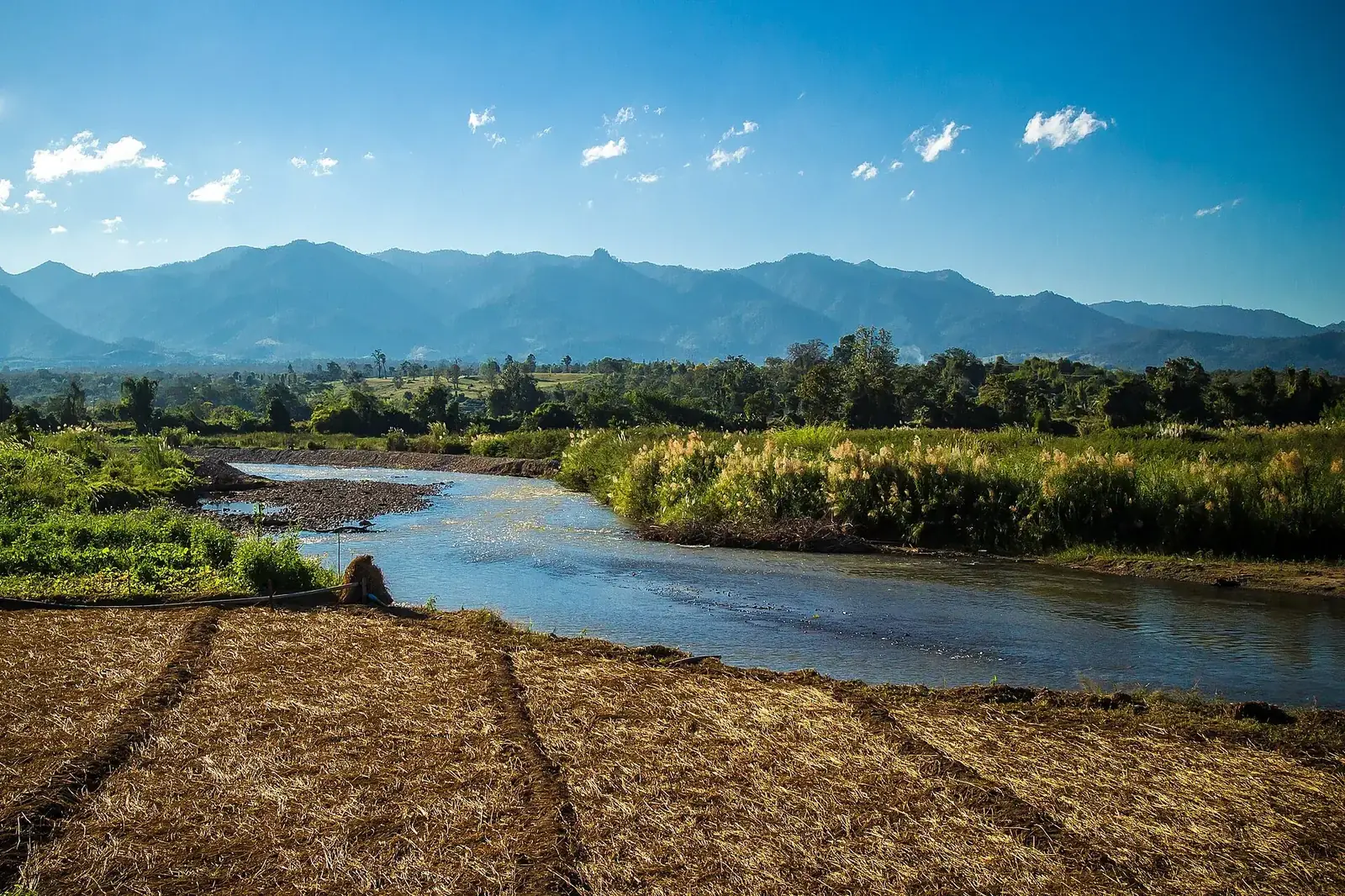 The Pai River and rice fields north of town